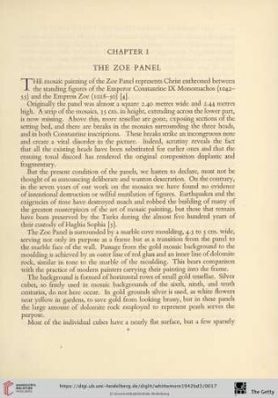 Chapter I: The Zoe Panel