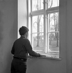 Fenster: Junge schaut nach draußen in Schlosspark