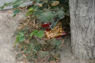 Verpackungsmüll