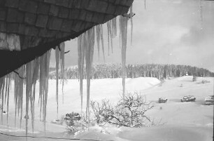 Todtnauberg: Eiszapfen am Bauernhaus; Durchblick