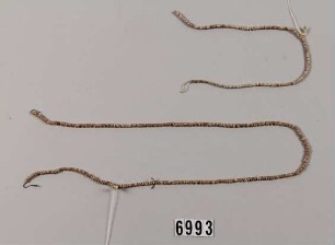 Schmuck oder Schneckengeld