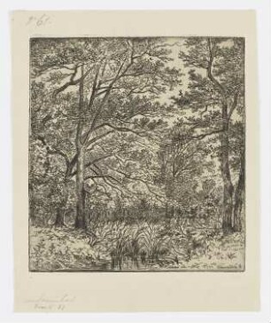 Bächlein im Wald