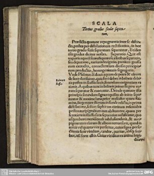 Tertius gradus scalae sapientum.