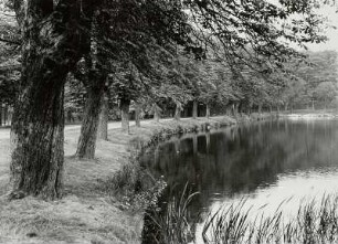 Kastanienallee am Schloßteich