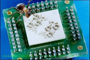 Verbau einer zusammengesetzten optischen Schaltmatrix des Instituts für Mikrostrukturtechnik (IMT)