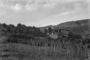 Haus und Plantage auf Hügeln : Plantagen im Hinter- und Vordergrund. In der Bildmitte ein Haus und mehrere Nebengebäude.