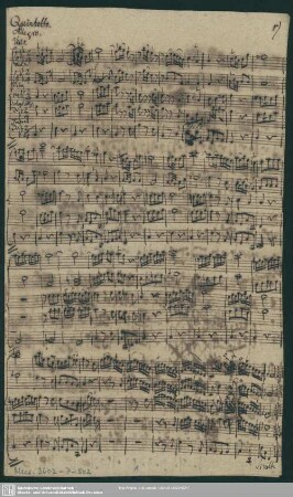Quintets - Mus.3602-P-502 : vl (2), vla, vlc, bc - B|b