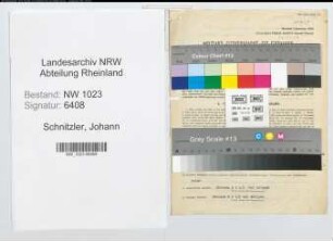 Entnazifizierung Johann Schnitzler , geb. 08.09.1893 (Kaufmann)