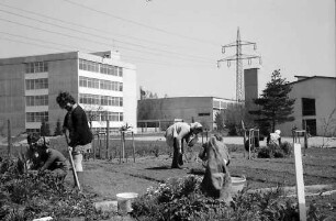 Lörrach, Tüllingen: Gärtnerarbeit der Landwirtschaftsschule, Hintergrund Sonderschule