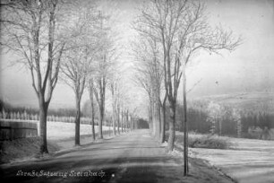 Straße unterhalb des Hirtsteins