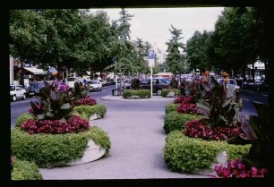 Kurfürstendamm 24.8.86.