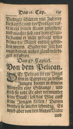 Das 17. Capitel. Von dem Pelican.