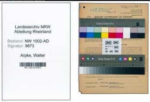 Entnazifizierung Walter Arpke, geb. 07.05.1906 (Feuerwehrmann)