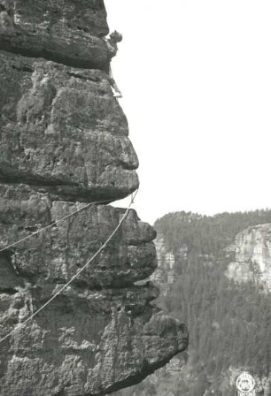 Böhmische Schweiz (České Švýcarsko), Prebischtorgebiet (Pravčická brána). Zuckerhut (Homole). Seilschaft Vogt an der Nordkante (VI)