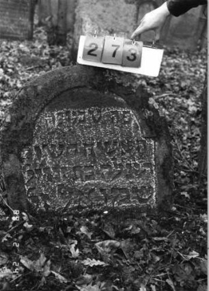 Grabstein 273 (Index: 99752213) Material: Sandstein Zustand: gut Maße HxBxT: 64x71x17 cm Beschreibung: Stele, eingezogener Segmentbogenabschluß, Schriftfeld eingetieft: Grabstein 273