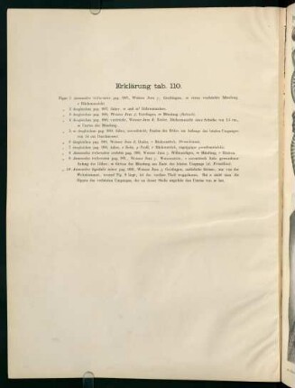 Tab. 110
