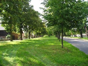 Hohenwalde, Frankfurt (Oder)
