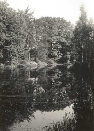 Tharandt-Grillenburg. Schloßteich