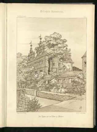 Die Ruine mit der Ulme zu Hirsau.