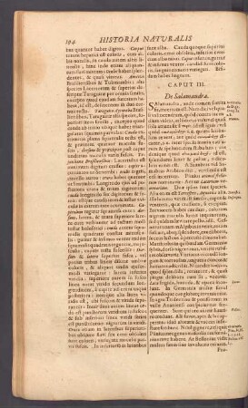Caput III. De Salamandra.