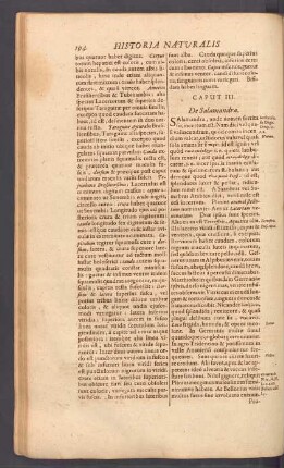 Caput III. De Salamandra.