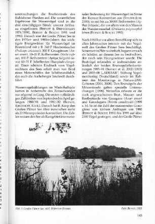 Abb. 2: Großer Plöner See, südl. Nehmten-Kronau Foto: Berndt, 1983