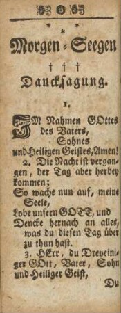 Morgen-Seegen
