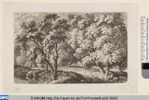 Waldweg und ausruhender Wanderer