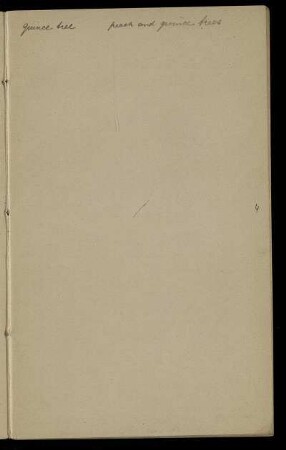 [Vokabelverzeichnis: Englisch] [teilweise in Gabelsberger-Kurzschrift] [Rückseiten eines Wendebuches]