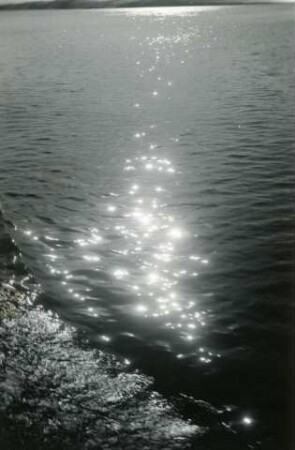 Das Wattenmeer