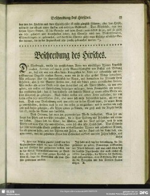 Beschreibung des Hirsches