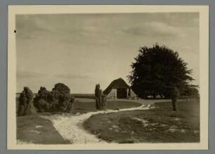 Lüneburger Heide. Naturschutzgebiet. Alter Schafstall bei Wilsede : Lüneburger Heide. Naturschutzgebiet Alter Schafstall bei Wilsede
