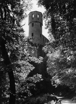 Neckarsteinach. Burg Schadeck (1351/1400)