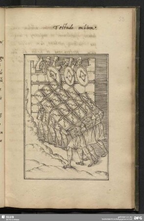 Testudo militum.