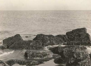 Nordsee, Scheveningen, die Flut strömt zwischen den Grenzblöcken ein