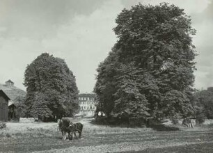 Allee von der Elbe her