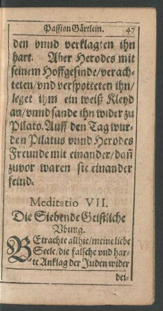 Meditatio VII.
