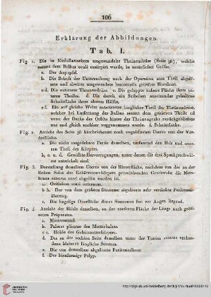 Erklärung der Abbildungen