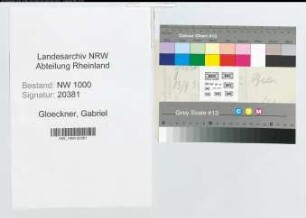 Entnazifizierung Gabriel Gloeckner, geb. 02.09.1906 ()