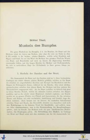 I. Muskeln des Bauches und der Brust.