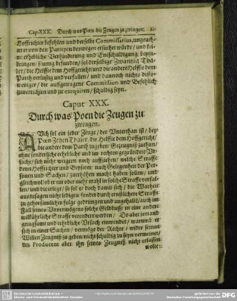 Caput XXX. Durch was Poen die Zeugen zu zwingen