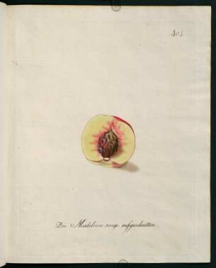 Die Madeleine rouge aufgeschnitten
