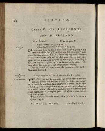 Order V. GALLINACEOUS.
