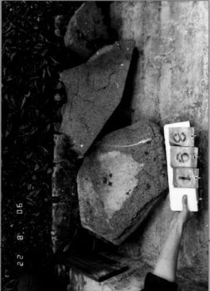 Grabstein 891