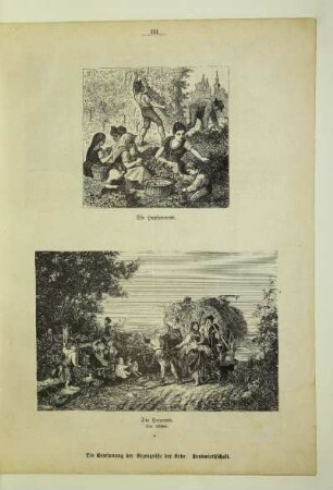 Die Heuernte