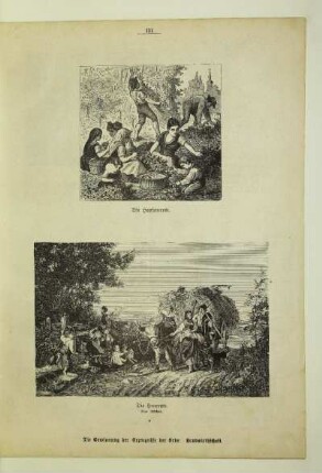 Die Heuernte