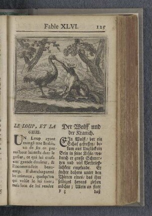 Fable XLVI. : Le loup, et la grue. Der Wolff und der Kranich.