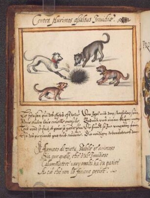 Johannes Tacquet, 1577: Sentenz (lat.), Gedicht (frz., 4 Verse), Gedicht (dt., 4 Verse), Gedicht (ital., 4 Verse), Sentenz (lat.), Us.