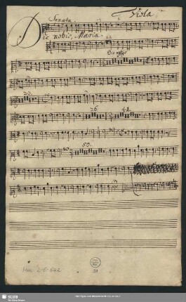 Viola [1ma?]