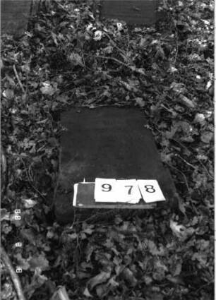 Grabstein 978
